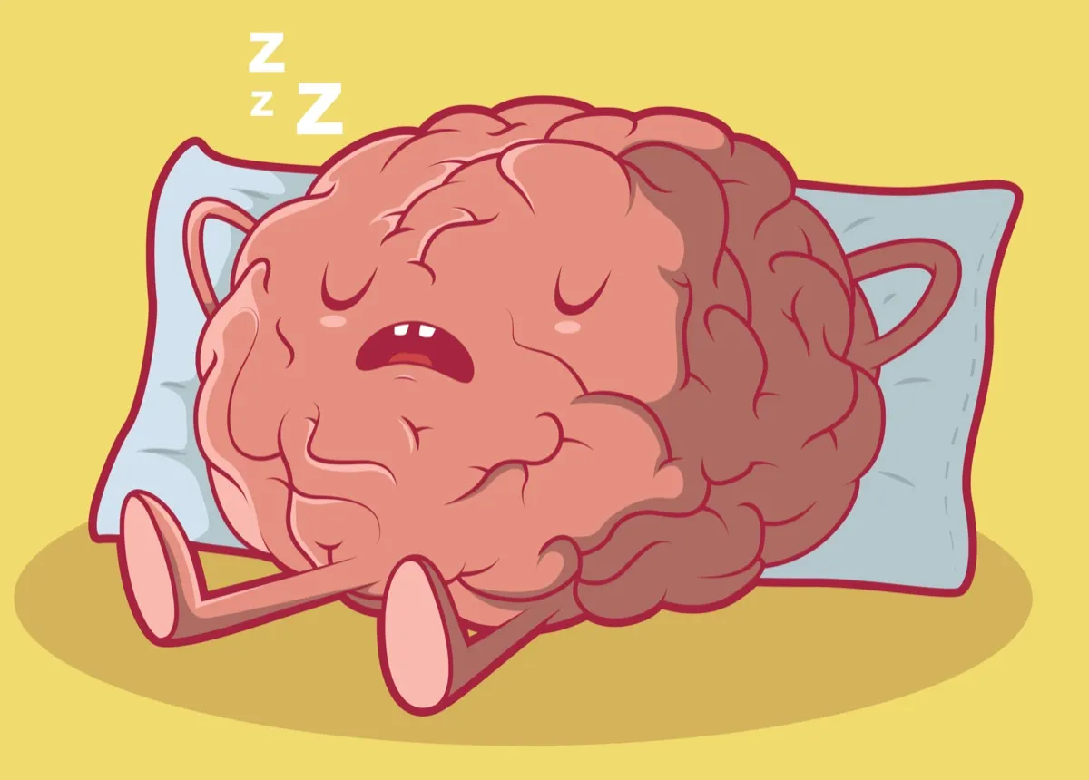 Brain Sleeping